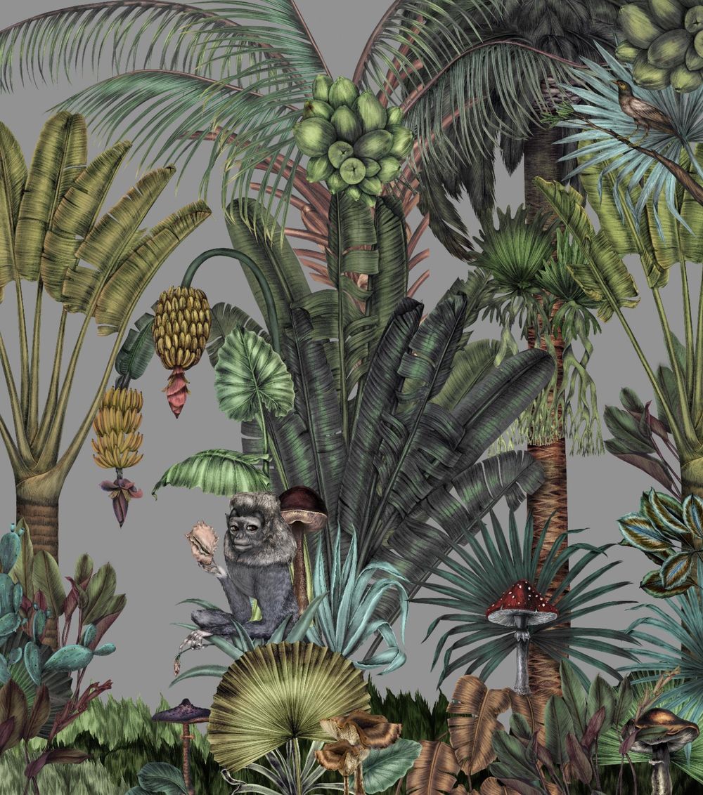 Botanical World - Colour of the Background - image 1 - student project