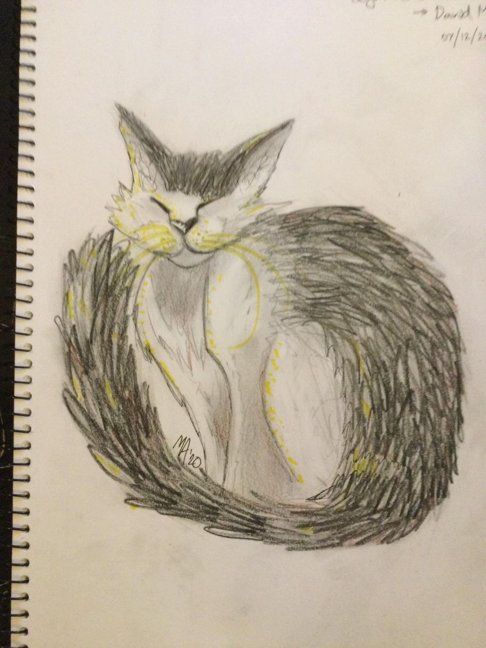 Expressive Drawing - Old Cat - image 1 - student project