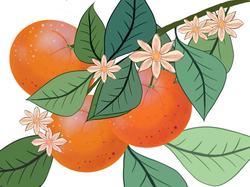 Digital Art with Procreate: Botanicals - image 2 - student project