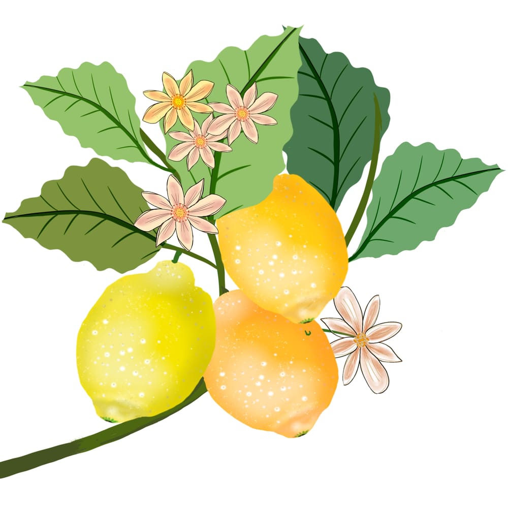 Digital Art with Procreate: Botanicals - image 3 - student project