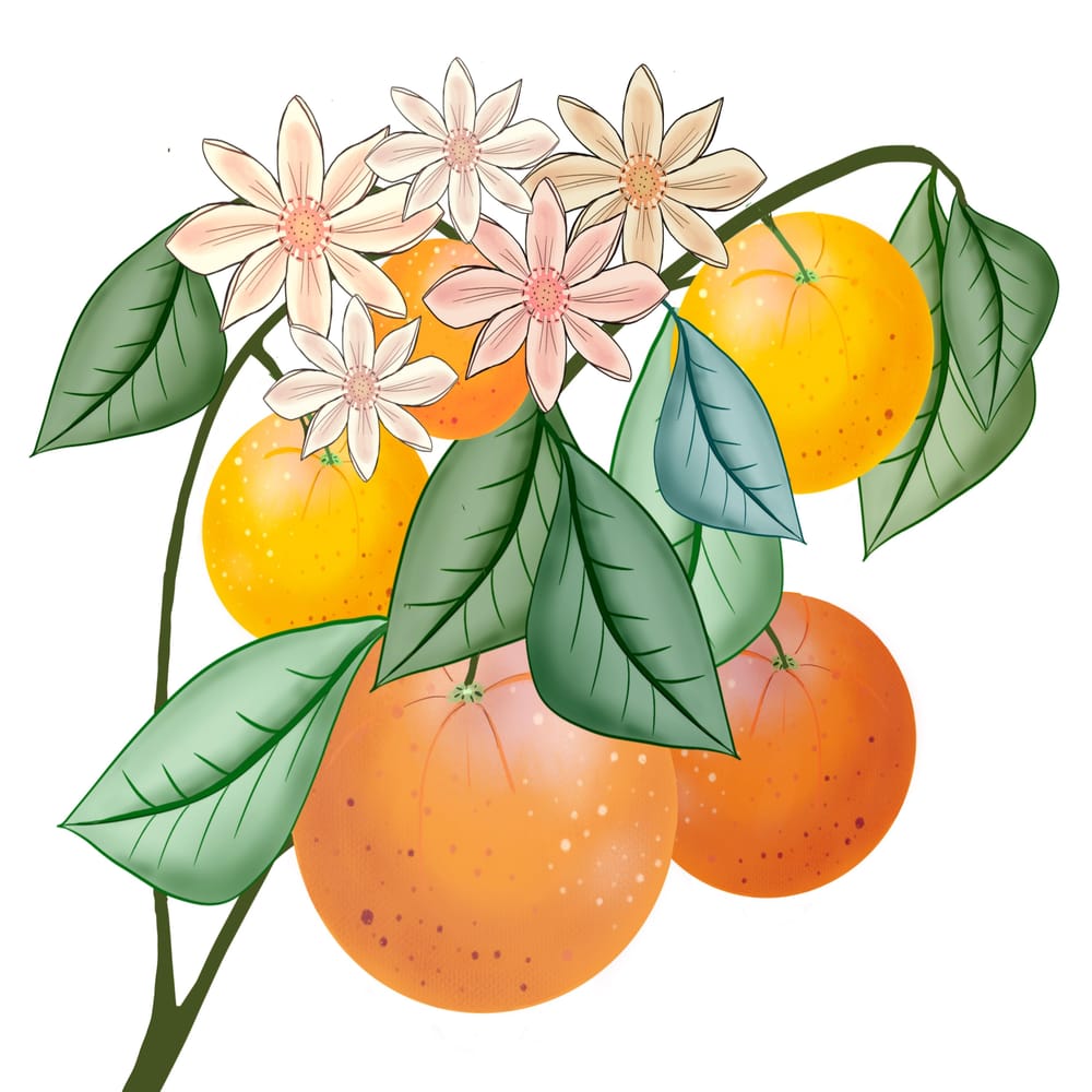Digital Art with Procreate: Botanicals - image 1 - student project