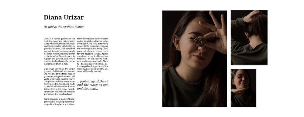 Diana - image 2 - student project
