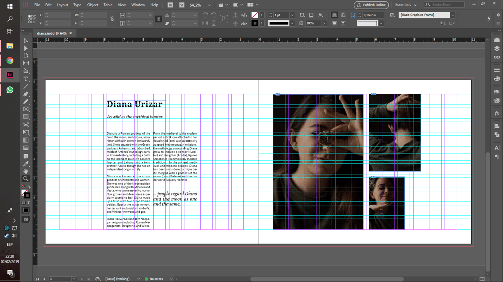 Diana - image 1 - student project