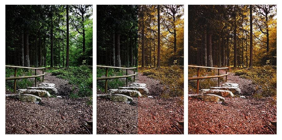 Color change! - image 3 - student project
