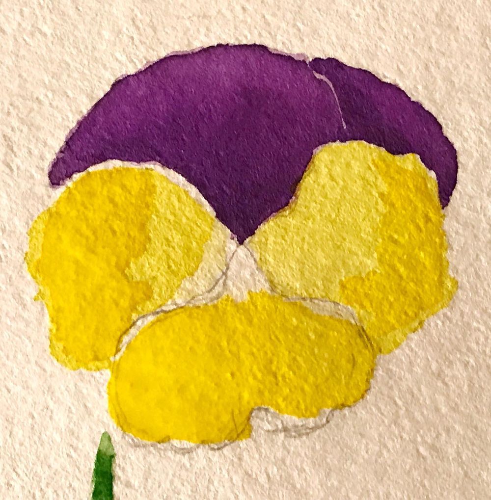 Viola - image 3 - student project