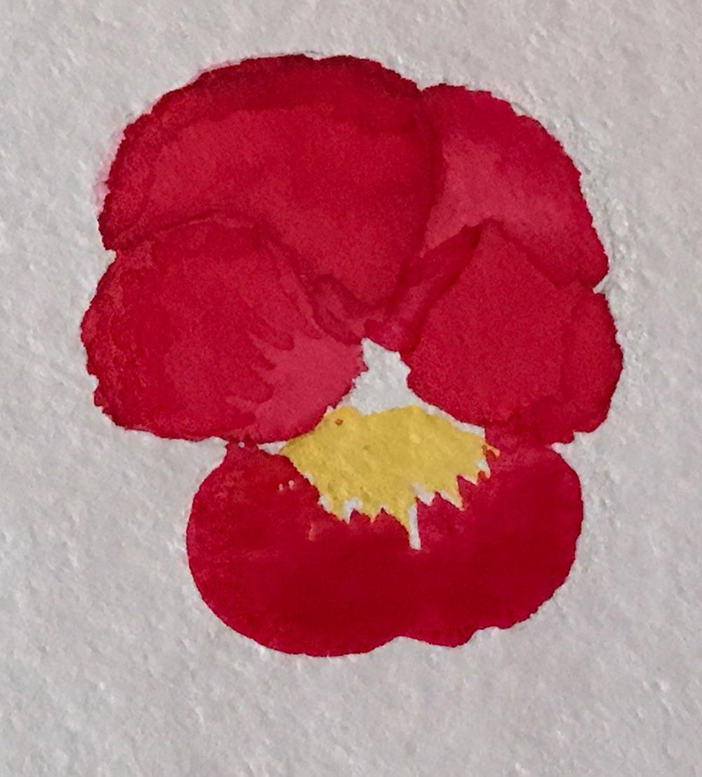 Viola - image 7 - student project