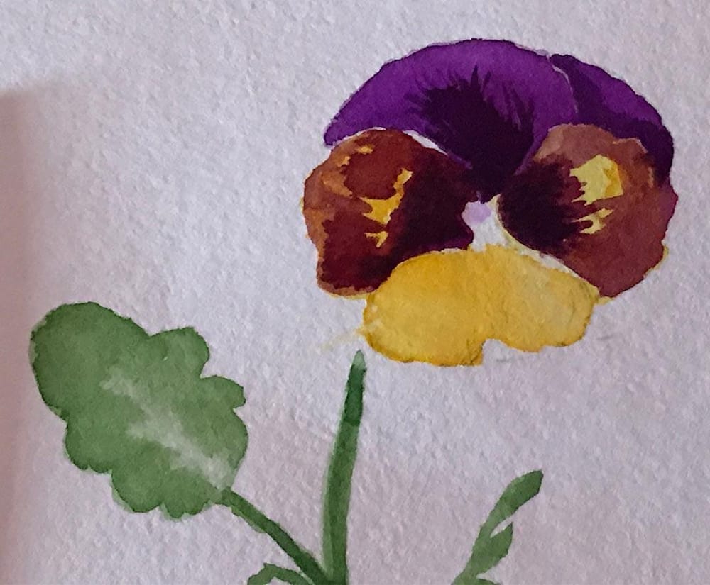 Viola - image 6 - student project