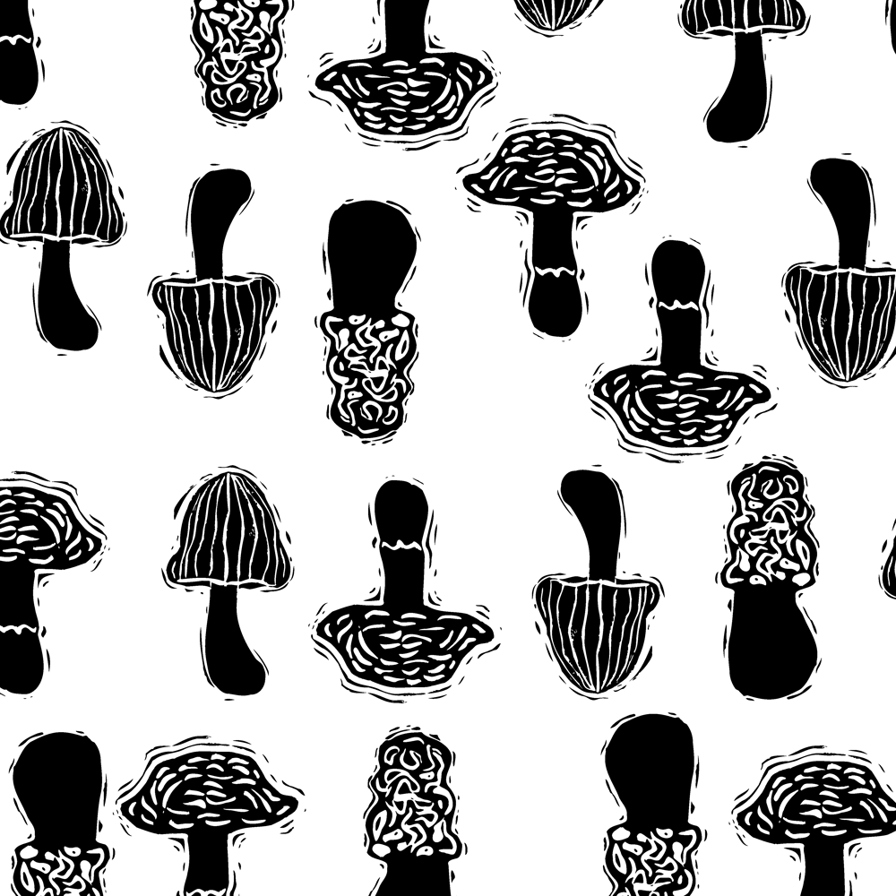 Shrooms - image 2 - student project