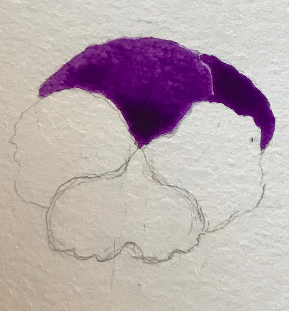 Viola - image 2 - student project