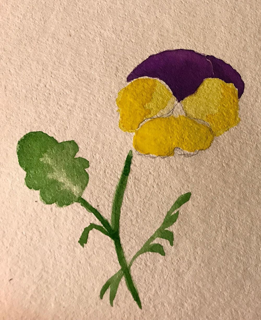 Viola - image 4 - student project