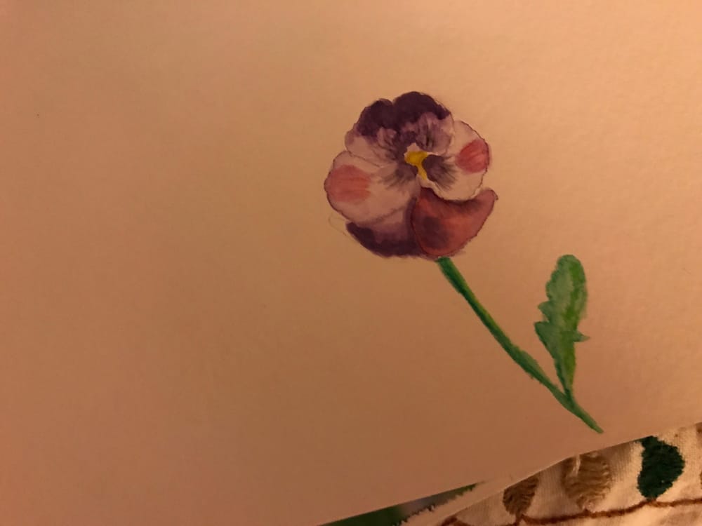 Viola - image 1 - student project