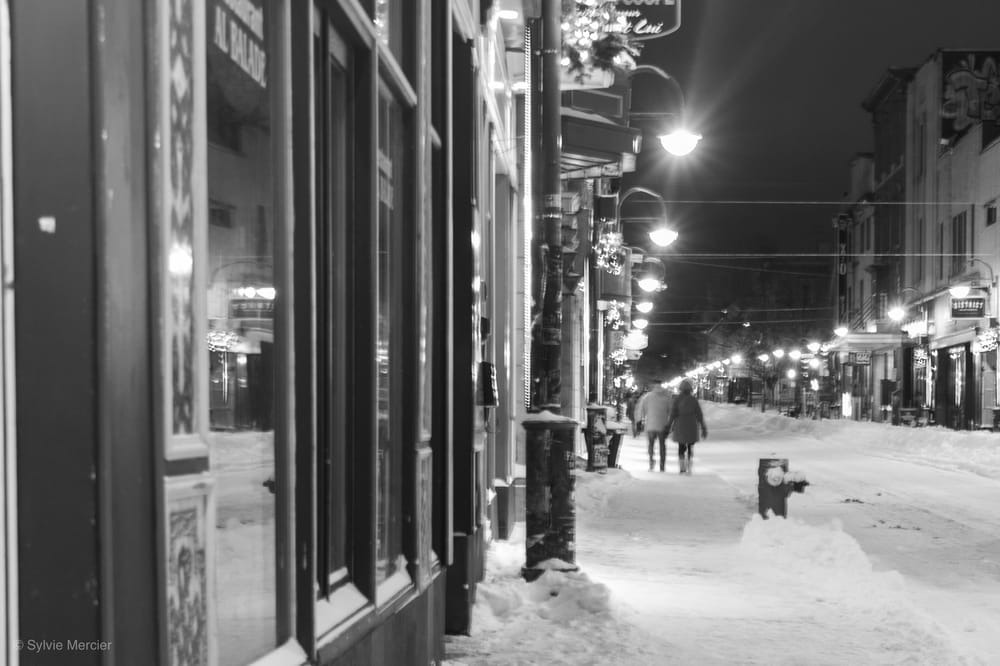 Cold winter nights Skillshare Student Project