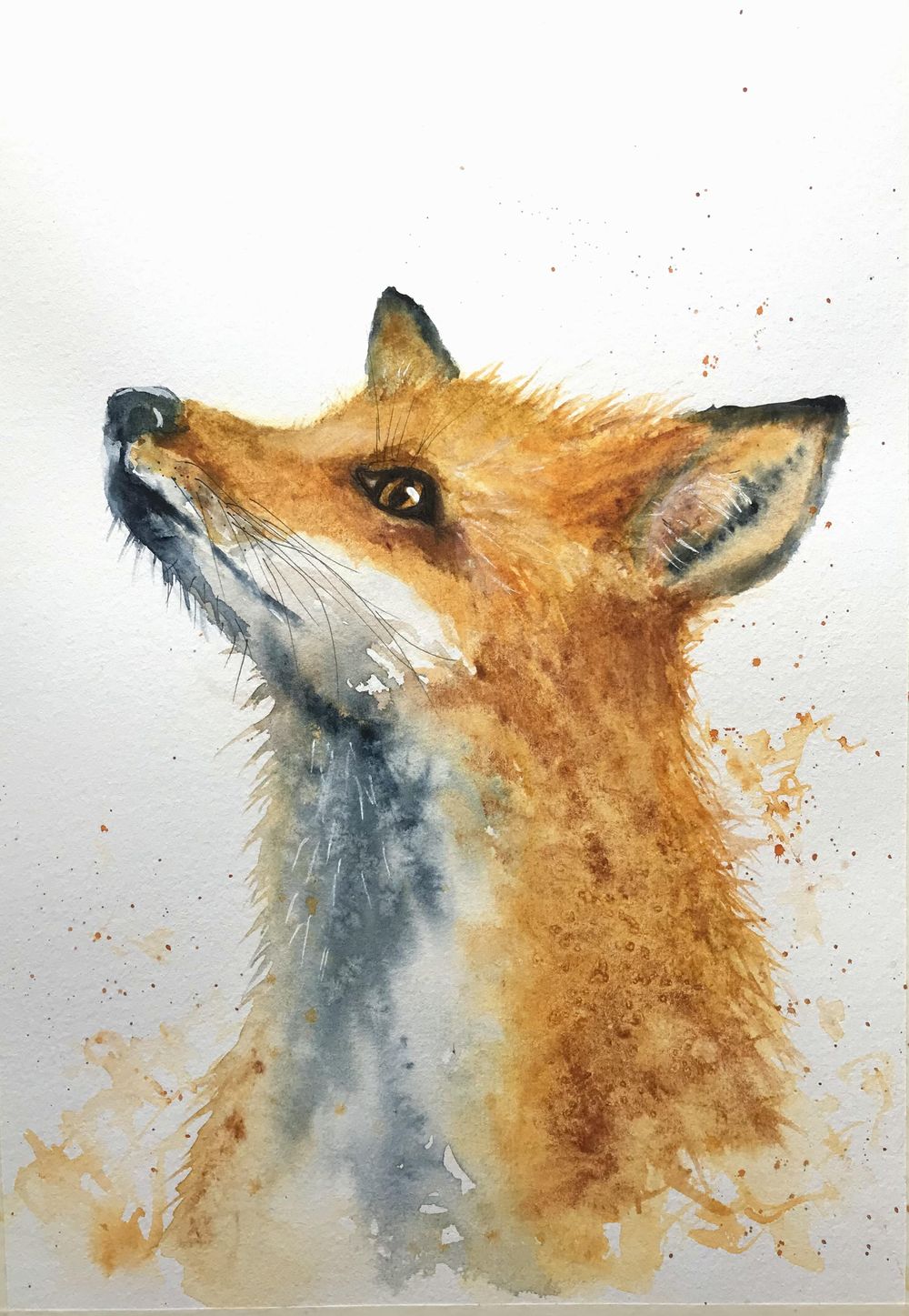 Mr Fox - image 1 - student project