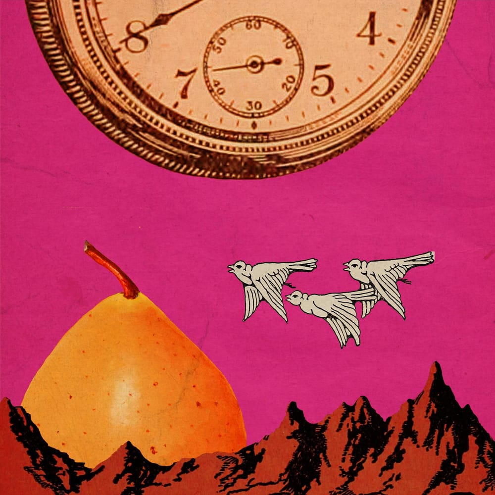 Pear Valley & Skulloplane - image 1 - student project