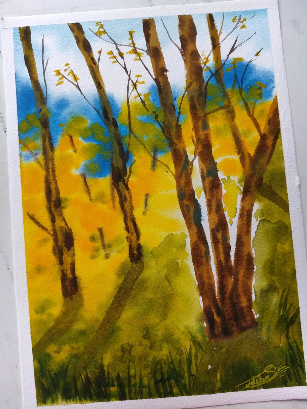 100 Days of Paradise - image 73 - student project