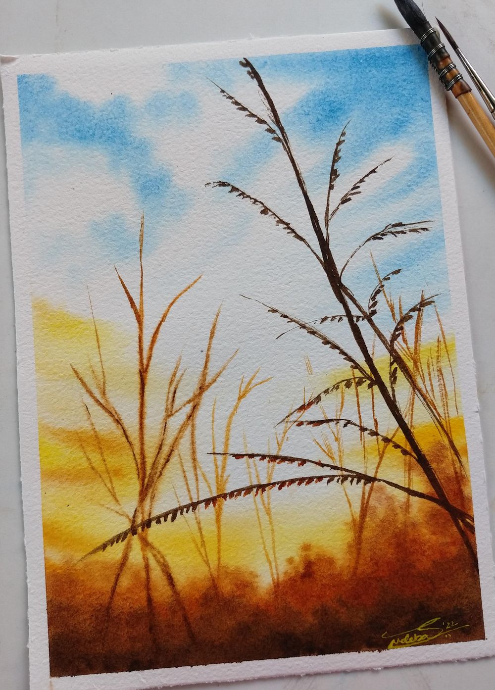 100 Days of Paradise - image 25 - student project