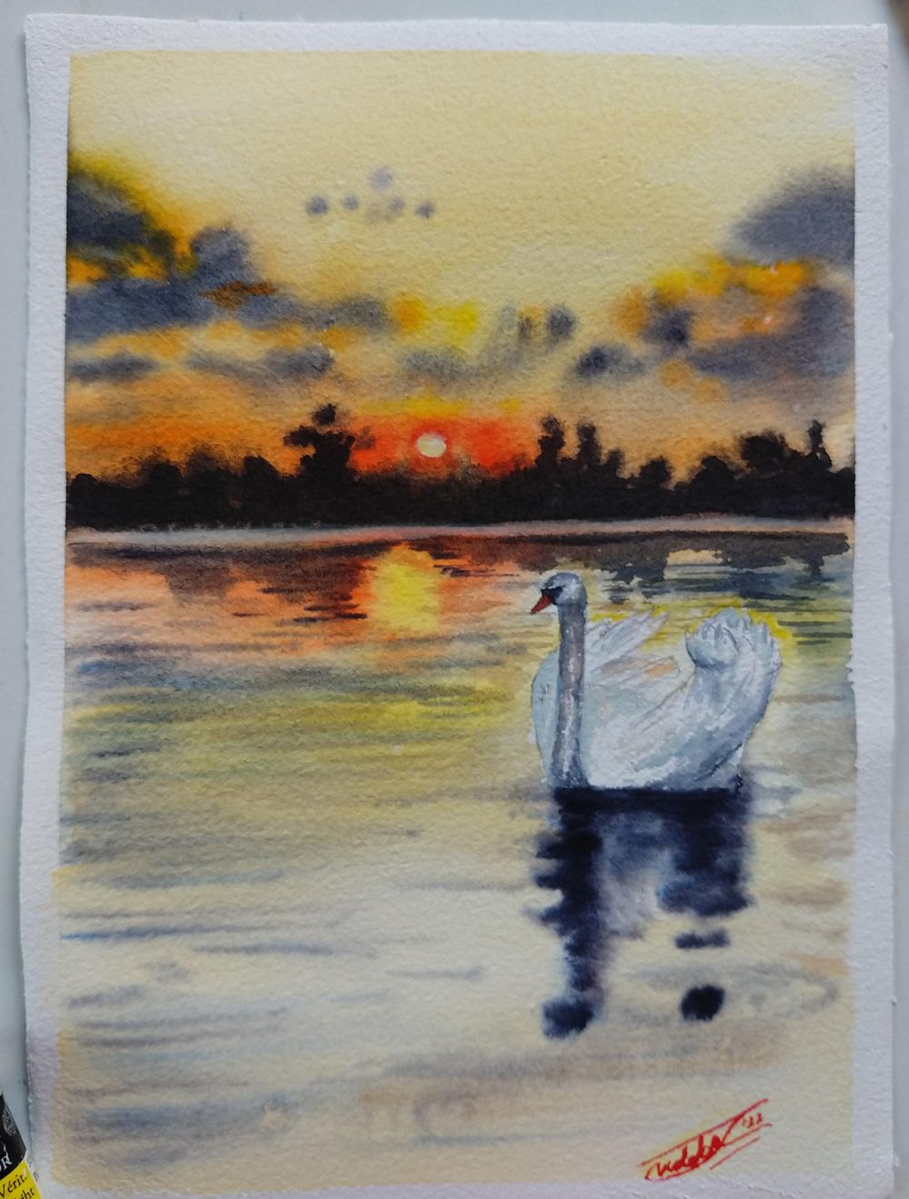 100 Days of Paradise - image 27 - student project