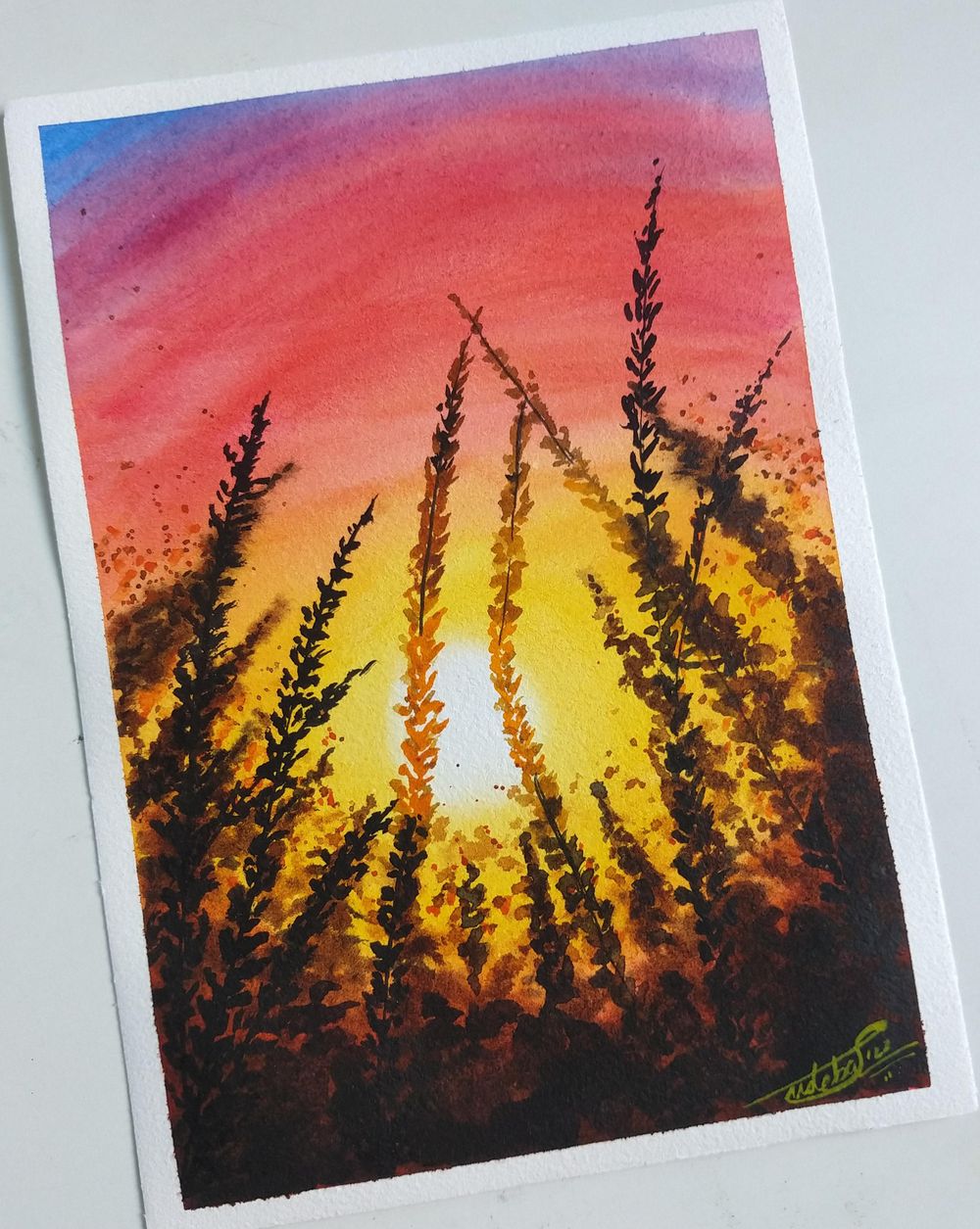 100 Days of Paradise - image 77 - student project