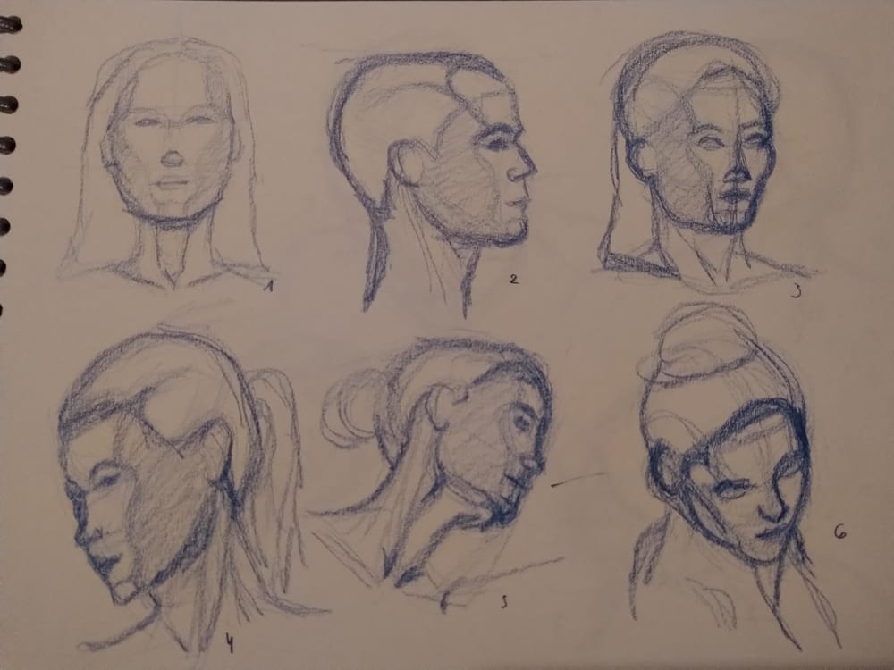 Drawing the head 1 - image 1 - student project