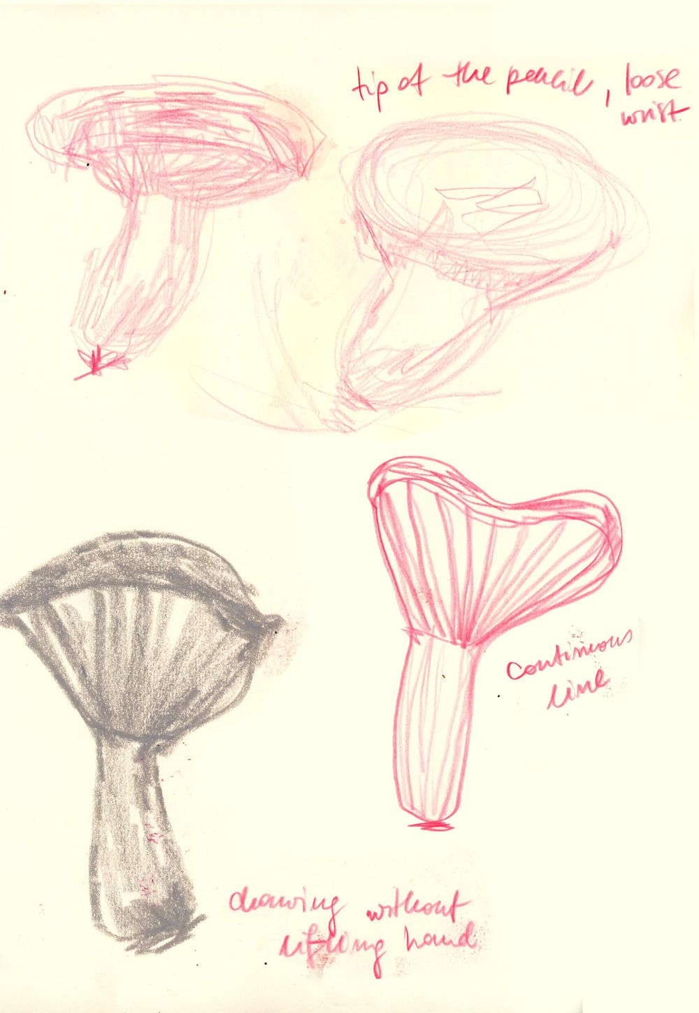 My artistic natural exploration - image 2 - student project