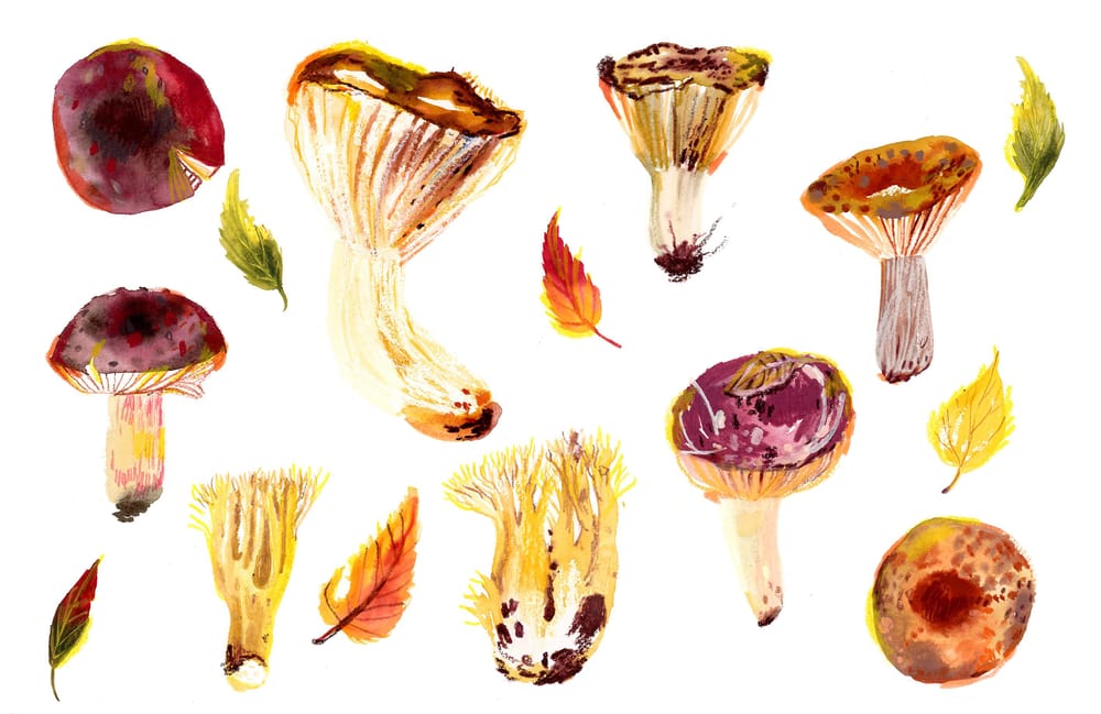 My artistic natural exploration - image 8 - student project