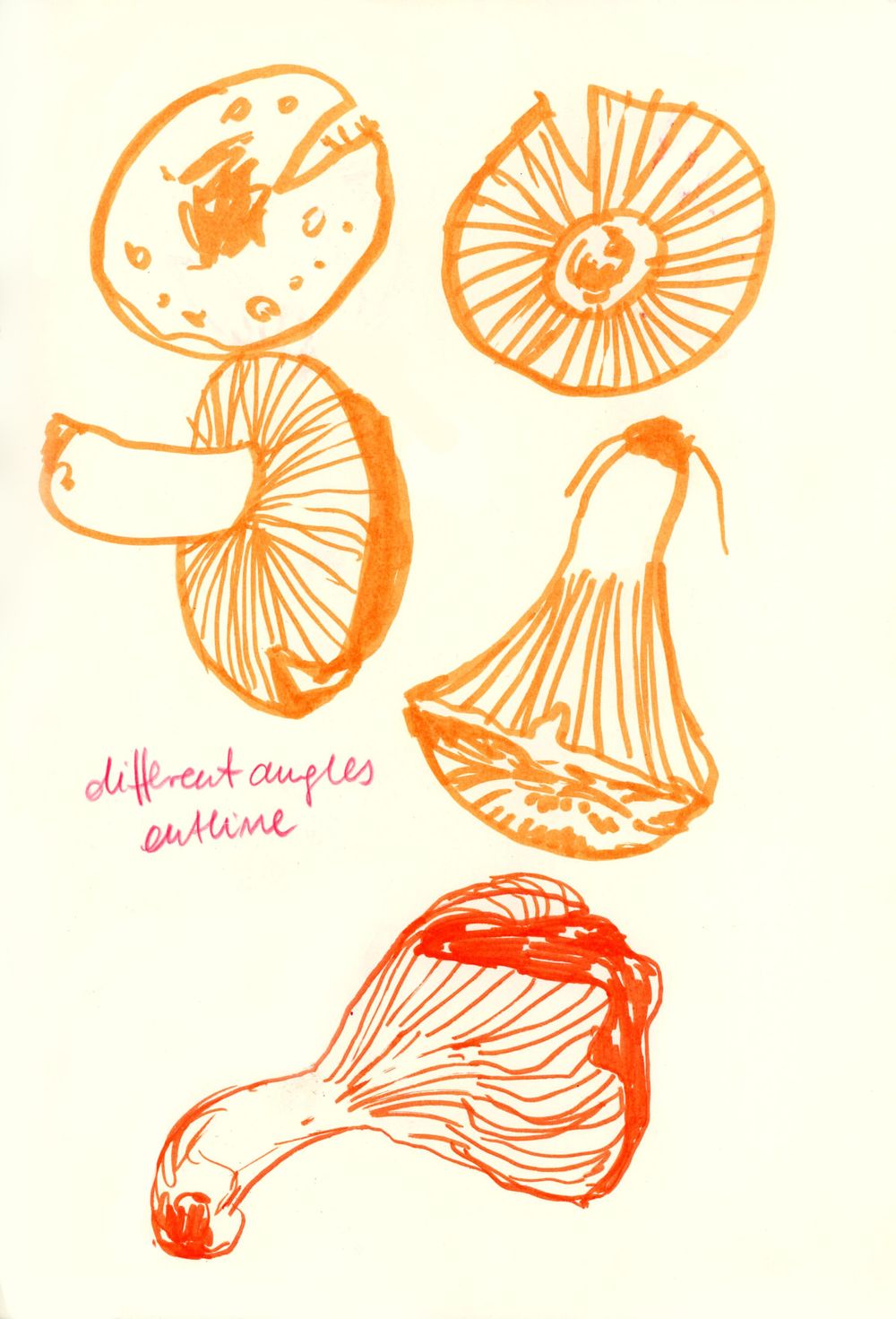 My artistic natural exploration - image 6 - student project