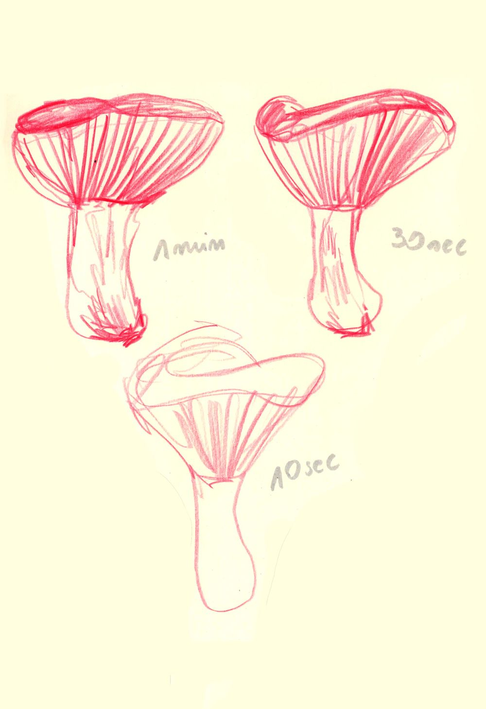 My artistic natural exploration - image 4 - student project