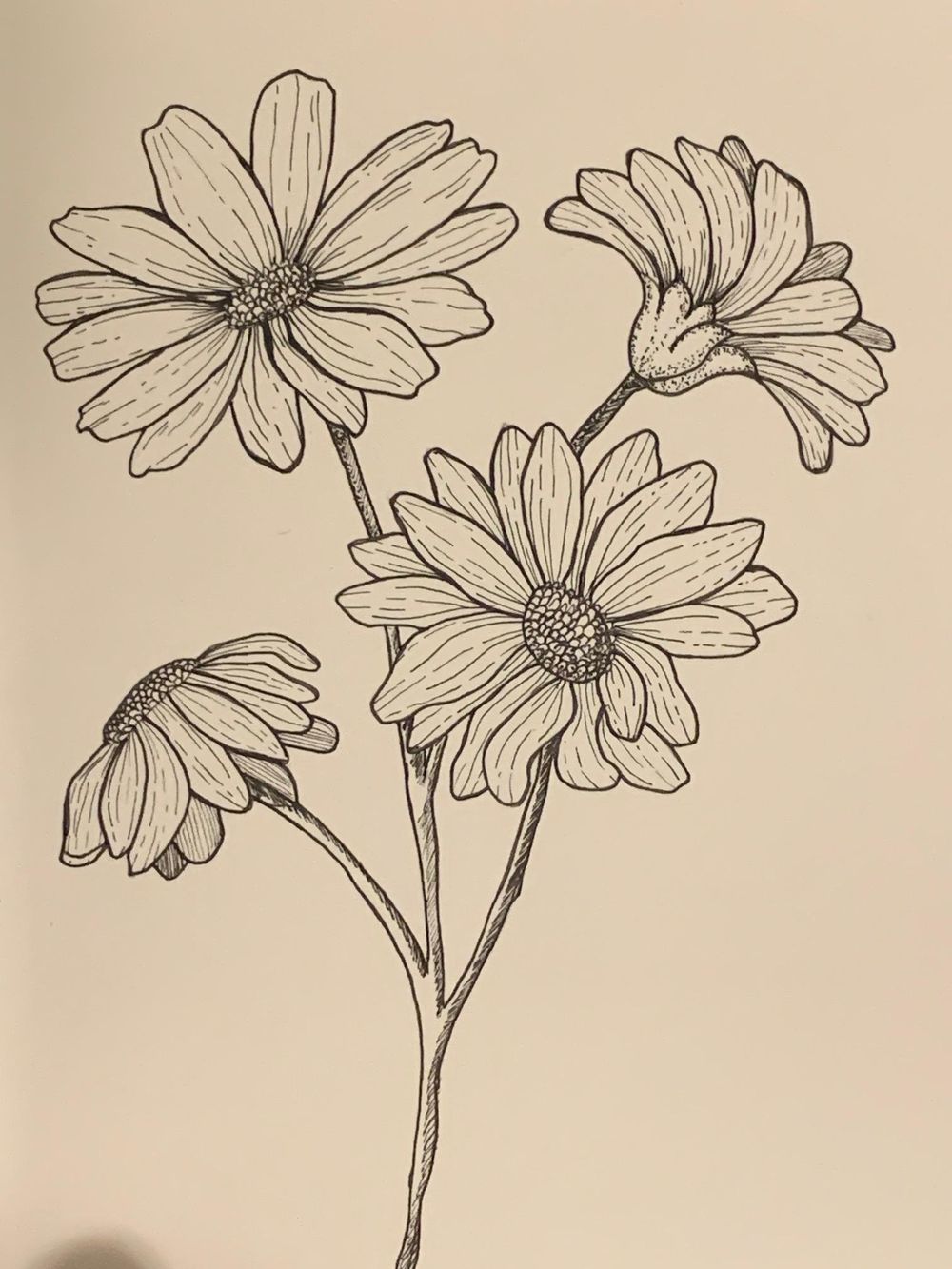 Flower drawing - image 2 - student project