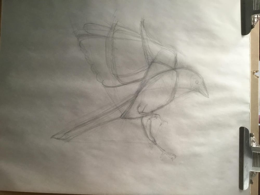 Basic skills - Lesson 5 - Assignment - image 10 - student project