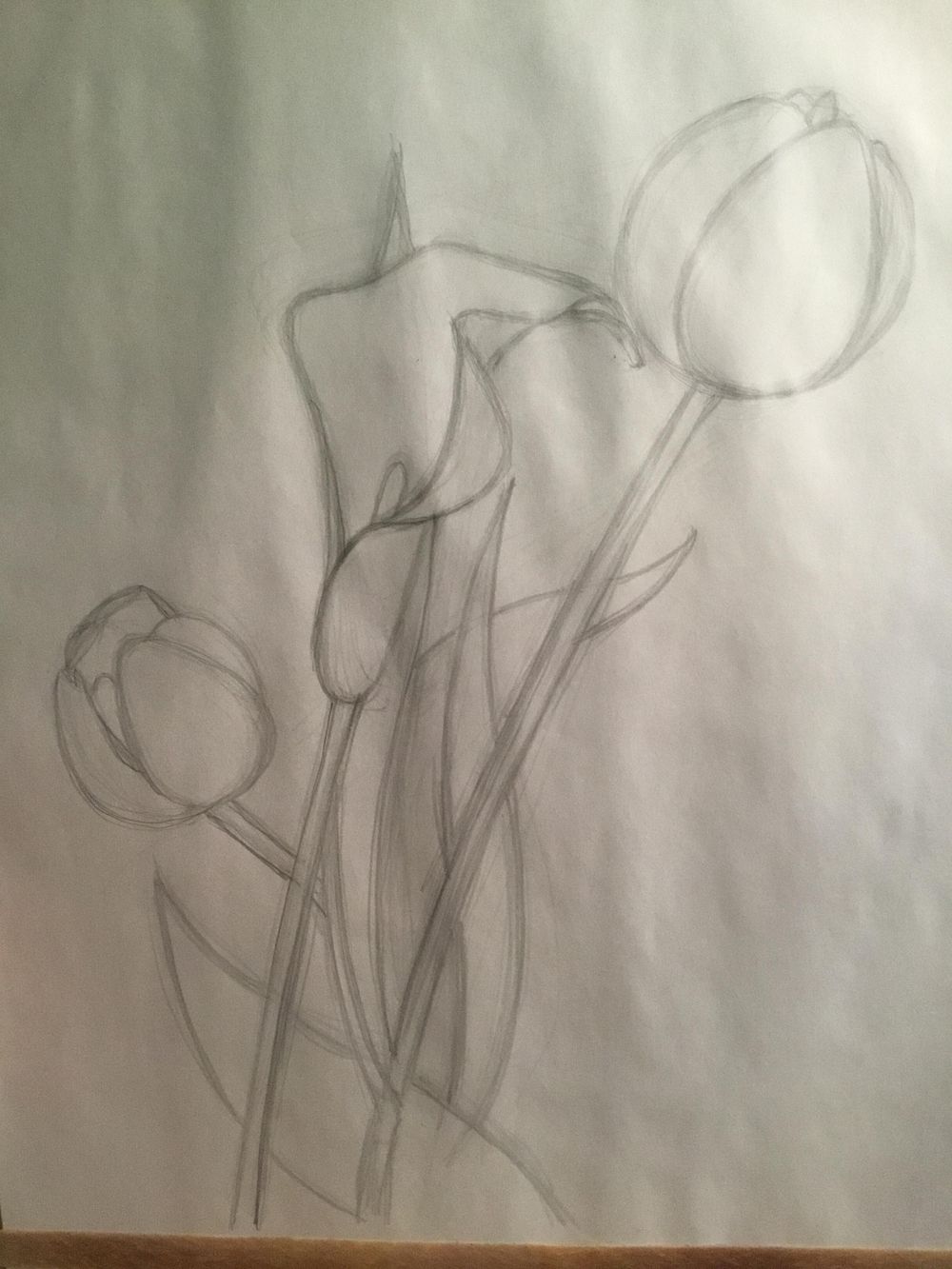 Basic skills - Lesson 5 - Assignment - image 11 - student project
