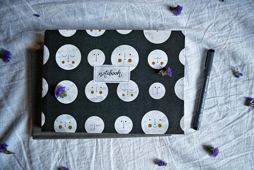 Mr. Moon Book - image 1 - student project