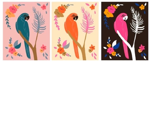 Fun Parrots - image 2 - student project