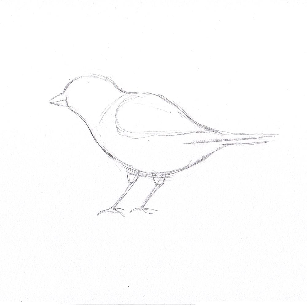 Sample Project : Stylized Sparrow - image 1 - student project
