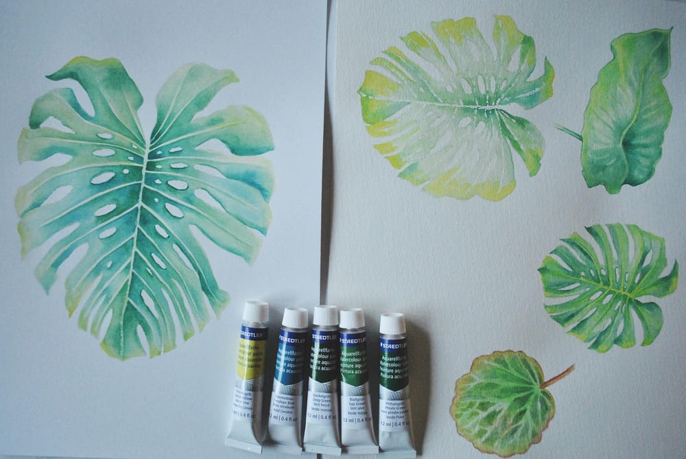 Monstera Leaf Illustration - image 2 - student project