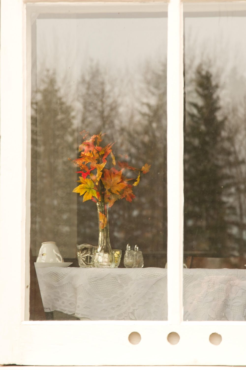 looking in through the Tea house window - image 1 - student project