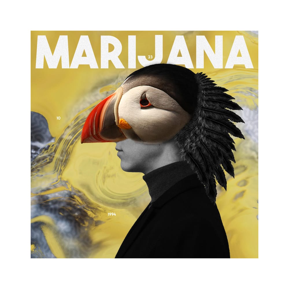 Marijana - image 1 - student project