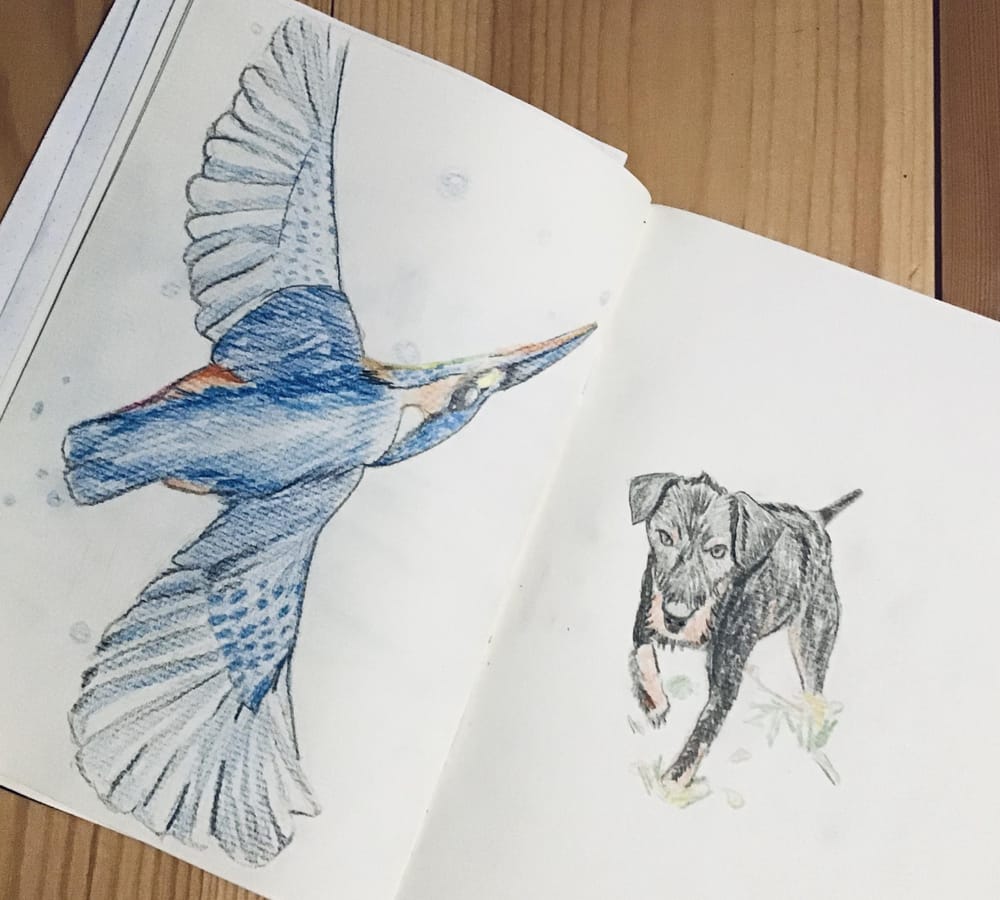 Learn to draw - image 1 - student project