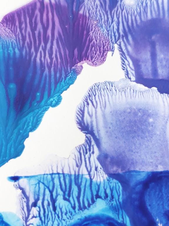 Monotype - image 2 - student project