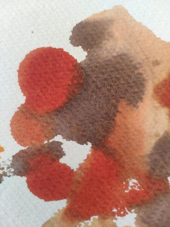 Monotype - image 4 - student project