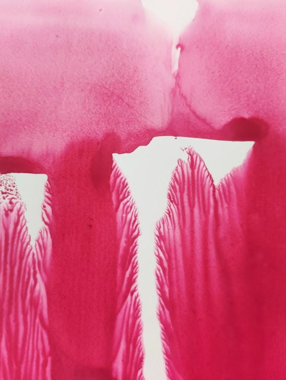 Monotype - image 1 - student project