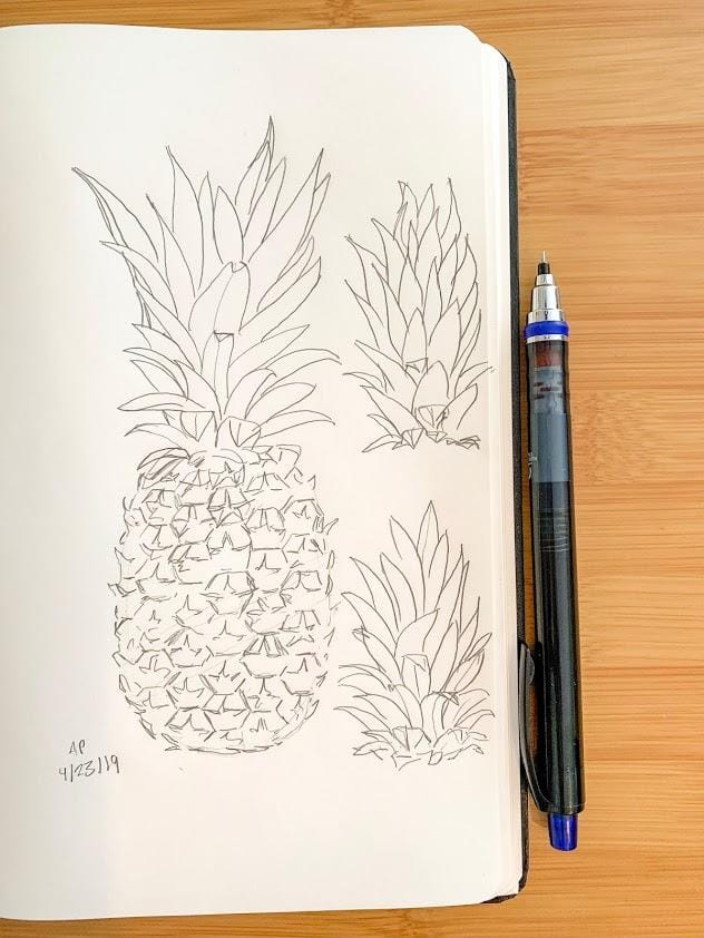 Pineapple Studies 4 Ways - image 1 - student project