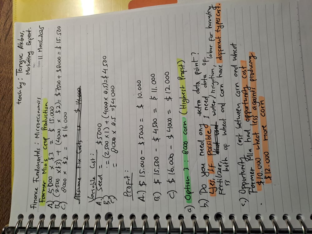 Profit Maximization Exercise - image 2 - student project