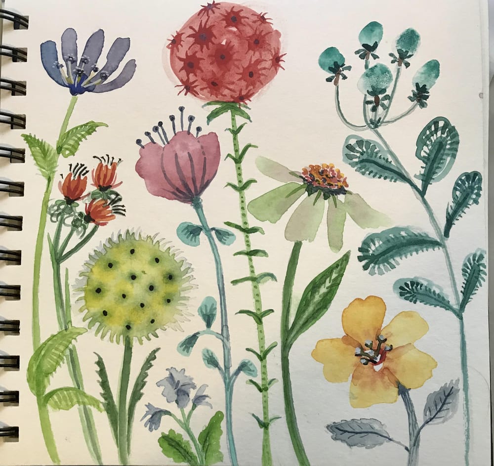 Watery Flowers - image 2 - student project