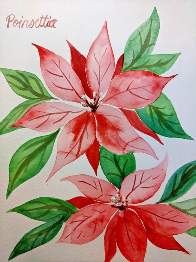 Christmas flowers - image 1 - student project