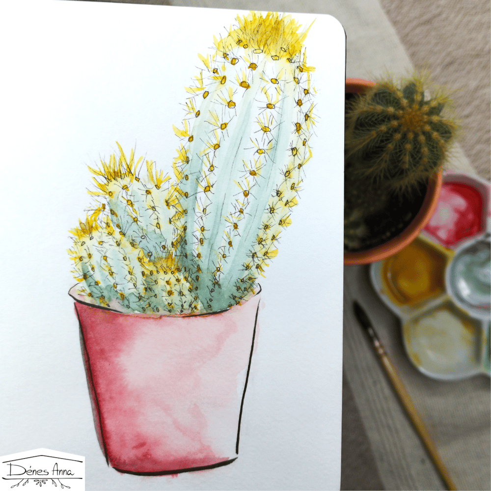 House plants and flowers - image 8 - student project