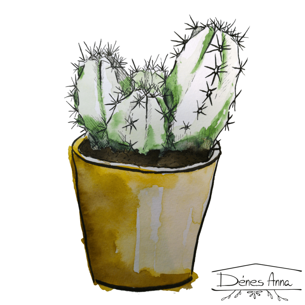 House plants and flowers - image 5 - student project