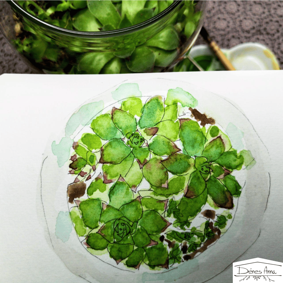 House plants and flowers - image 13 - student project