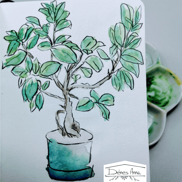 House plants and flowers - image 14 - student project
