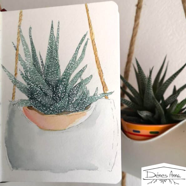 House plants and flowers - image 10 - student project