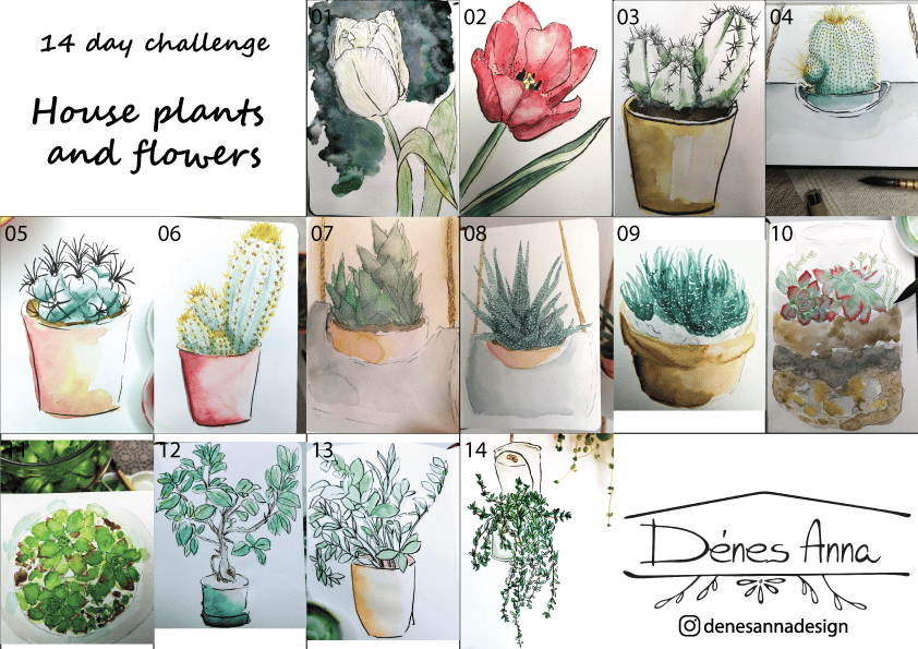 House plants and flowers - image 1 - student project